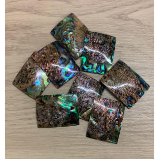 Rectangle Paua 40x30mm lot of 6