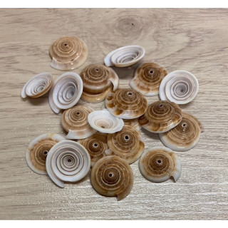 Morceaux de Cône perforés 2/3cm 50p lot de 3