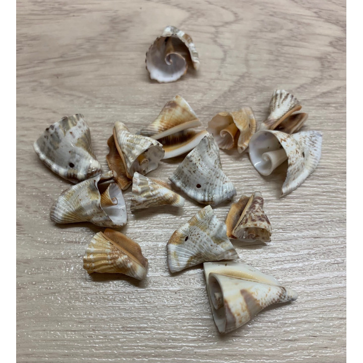 Pieces of Vertagus 2cm 30p lot of 3