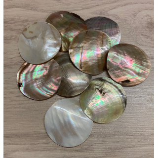 Shell pendant 5cm lot of 12