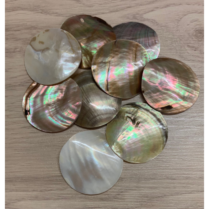 Pendentif Coquillage 5cm lot de 12