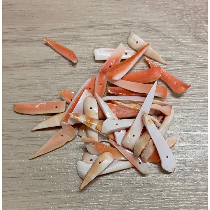 Lame de Luhuanus Perforée 2/3cm 65p lot de 3