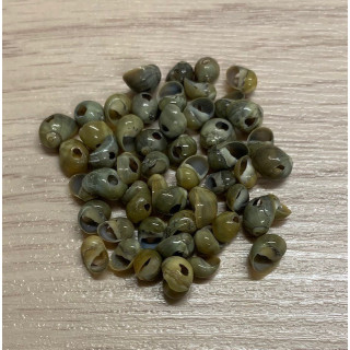 Mini Yellow Mango Perforated 5mm about 200p lot of 3