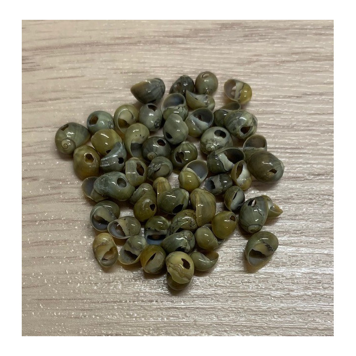 Mini Yellow Mango Perforated 5mm about 200p lot of 3