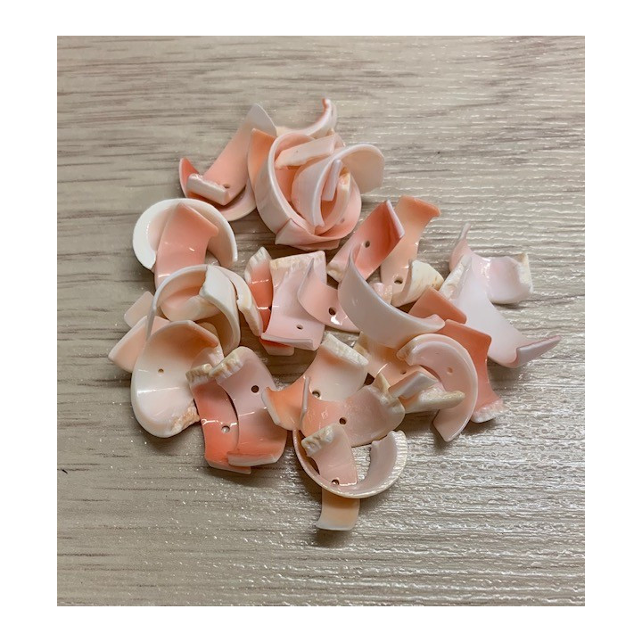 Spirale Luhuanus 2cm 80p lot de 3