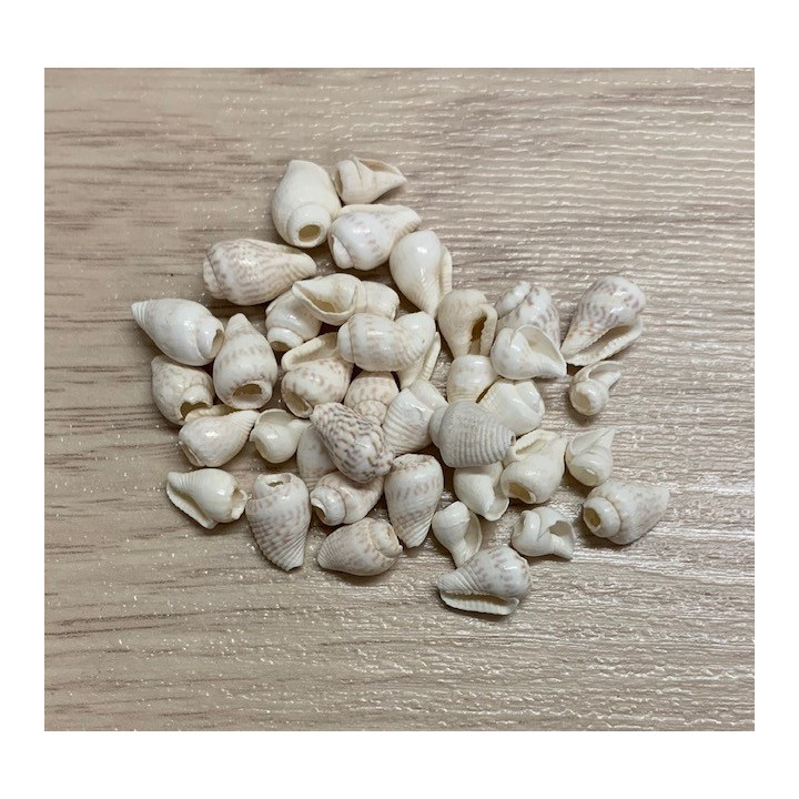 Mini Nassa Blanche Perforée 1cm 200p lot de 3