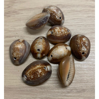 Pochette capput perforée - 20 pièces par 3