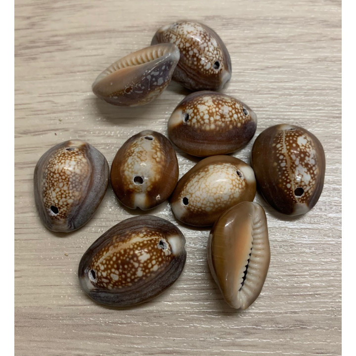 Pochette capput perforée - 20 pièces par 3