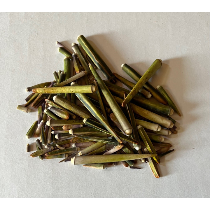 Piques d'oursins vert (lot de 25pcs) par 3