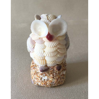 Chouette coquillages 8cm par 6