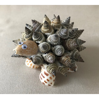 Hérisson nassarieus 10cm par 12