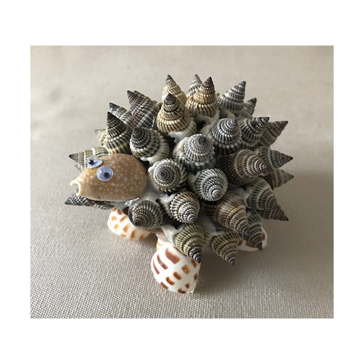 Hérisson nassarieus 10cm par 12