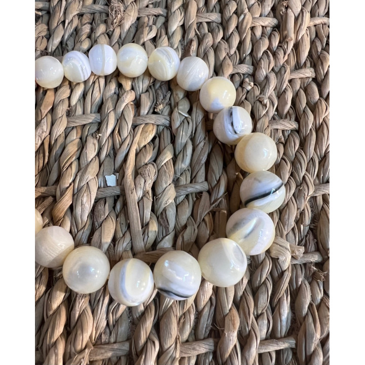 Bracelet coquillage marmotatus 19cm par 3