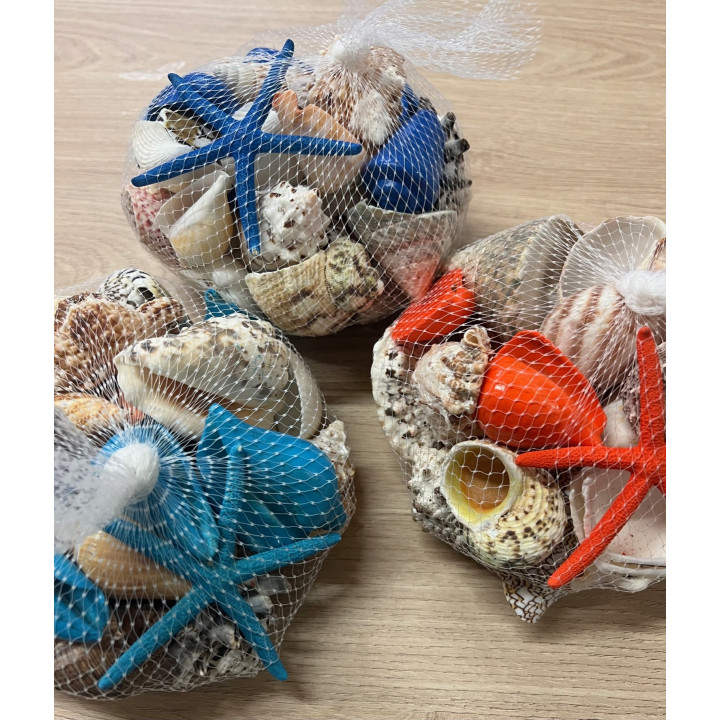 Filets de coquillages et étoile de mer (650gr) couleurs assorties par 6