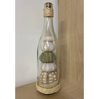 Bouteille déco oursins 30cm par 3