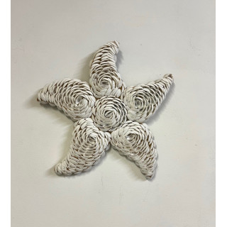 Etoile de mer coquillages à suspendre 30cm par 3