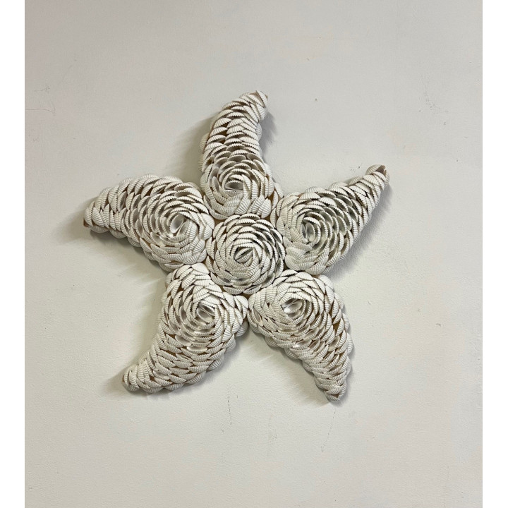 Etoile de mer coquillages à suspendre 30cm par 3