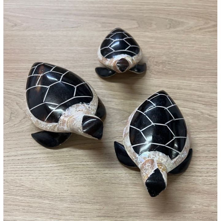 Tortues nacres set de 3 couleurs assorties - 11,13,15cm par 1