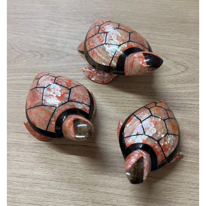 Tortues nacres set de 3 couleurs assorties - 11,13,15cm par 1