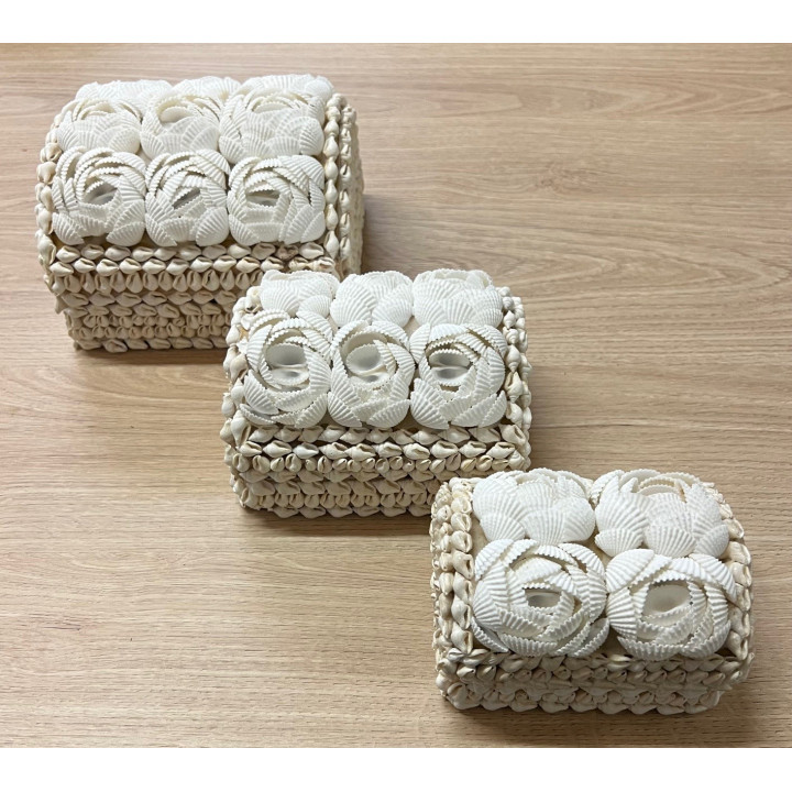 Coffret coquillages blancs taille L 15x13cm par 3