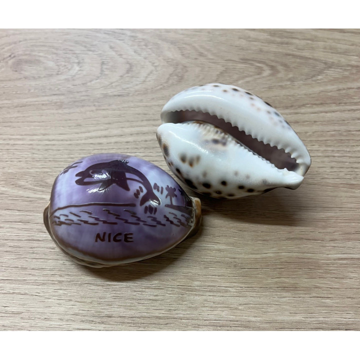 Cypraea gravées "NICE" dauphin par 25