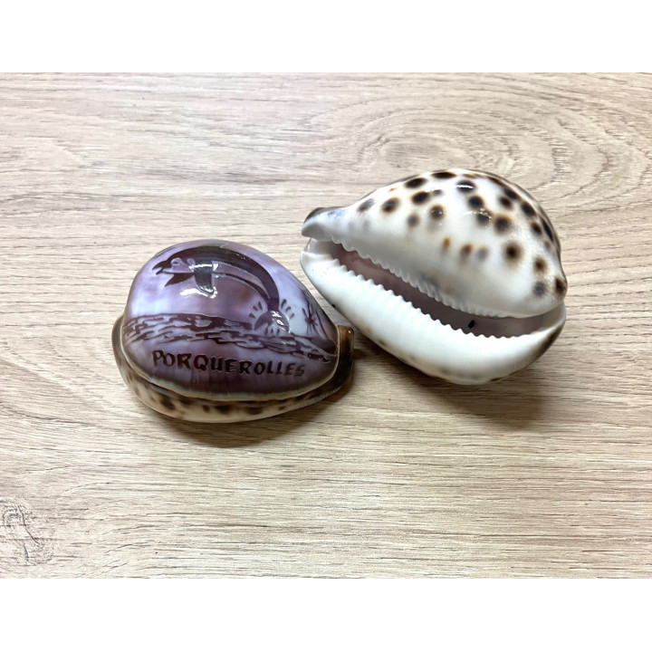 Cypraea gravées "PORQUEROLLES" dauphin par 25