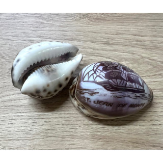 Cypraea gravées "ST JEAN DE MONTS" dauphin par 28