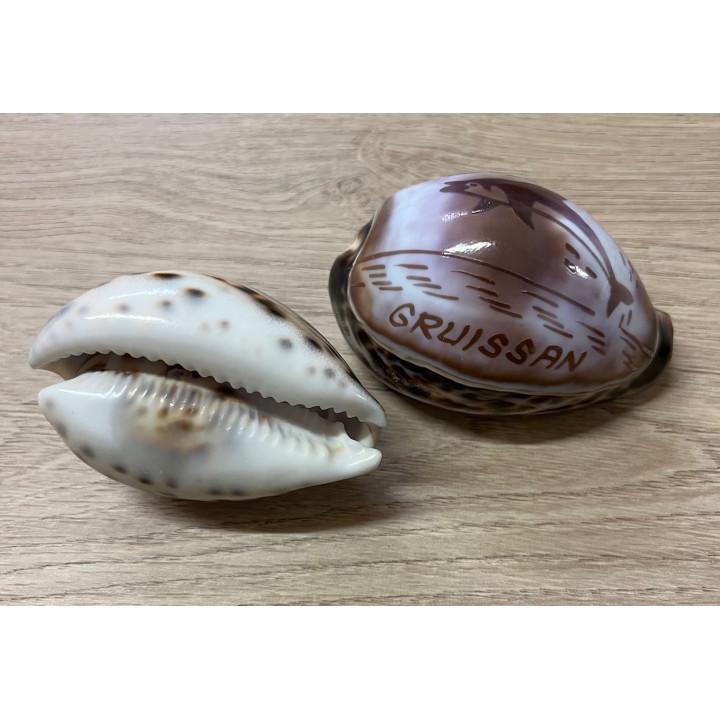 Cypraea gravées "GRUISSAN" dauphin par 25