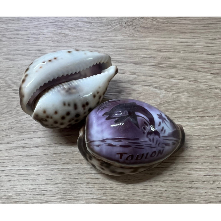 Cypraea gravées "TOULON" dauphin par 25