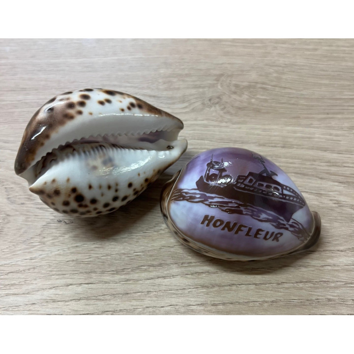 Cypraea gravées "HONFLEUR" bateau par 25