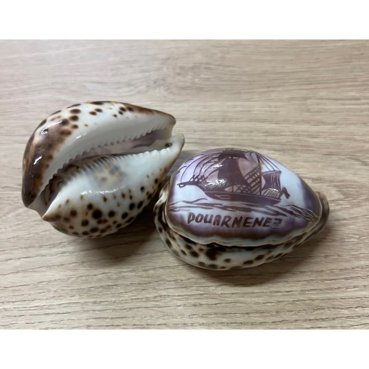 Cypraea gravées "DOUARNENEZ" bateau par 15