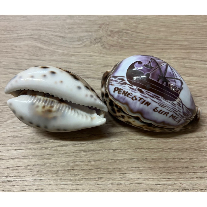 Cypraea gravées "PENESTIN SUR MER" bateau par 25