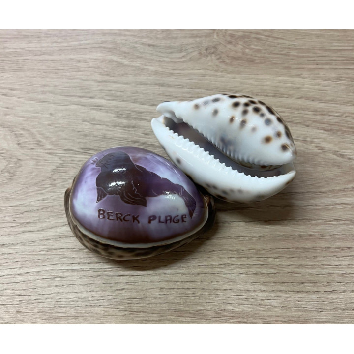 Cypraea gravées "BERCK PLAGE" phoque par 25