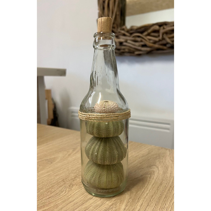 Bouteille déco oursins verts 23cm par 12