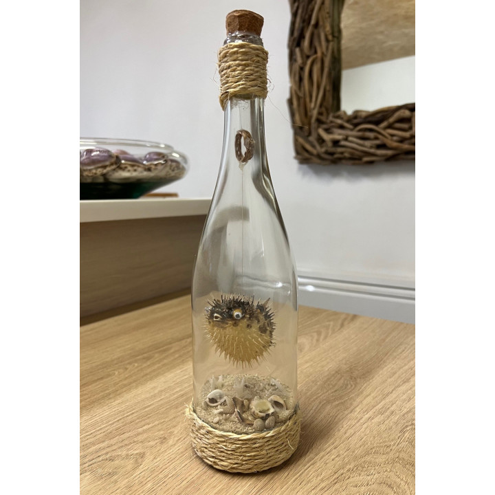 Bouteille sable et diodon 30cm par 2