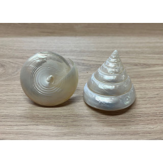 Pyramid pearly trocha 5/7cm by 25