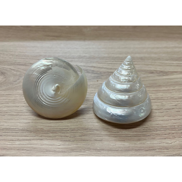 Pyramid pearly trocha 5/7cm by 25