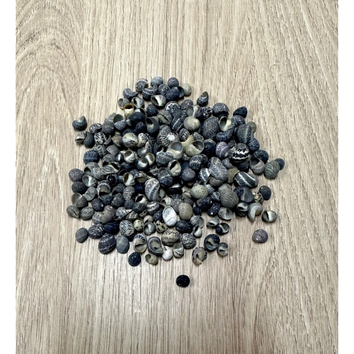 Green mini mango (lot of 500gr)