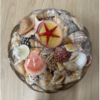 25cm basket filled with large shells matched by 6
