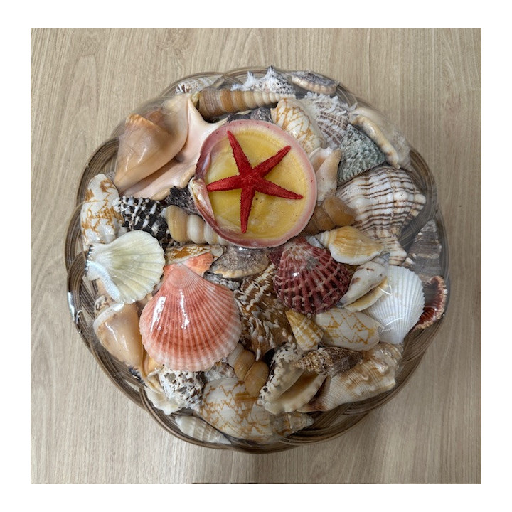 25cm basket filled with large shells matched by 6
