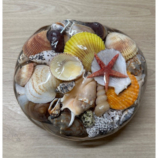 25cm basket filled with shells