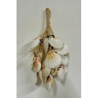 Tresse Coquillages 20cm lot de 6