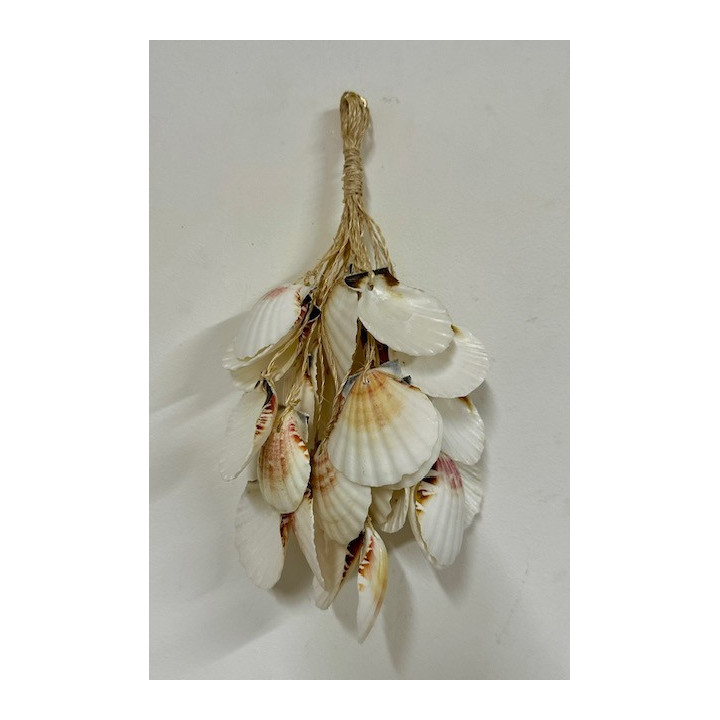 Tresse Coquillages 20cm lot de 6