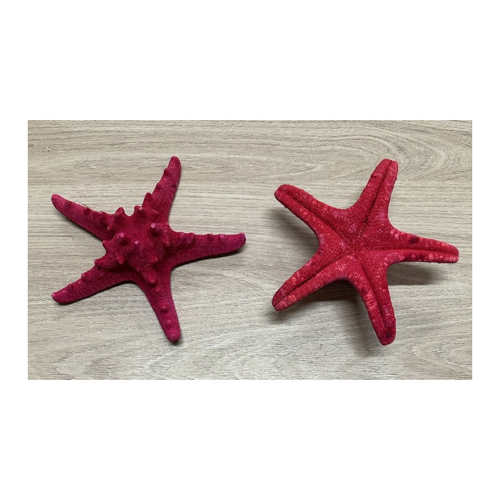Etoile rhino fuchsia 13/15cm par 24