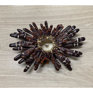 Oursin crayon 17/24cm par 1